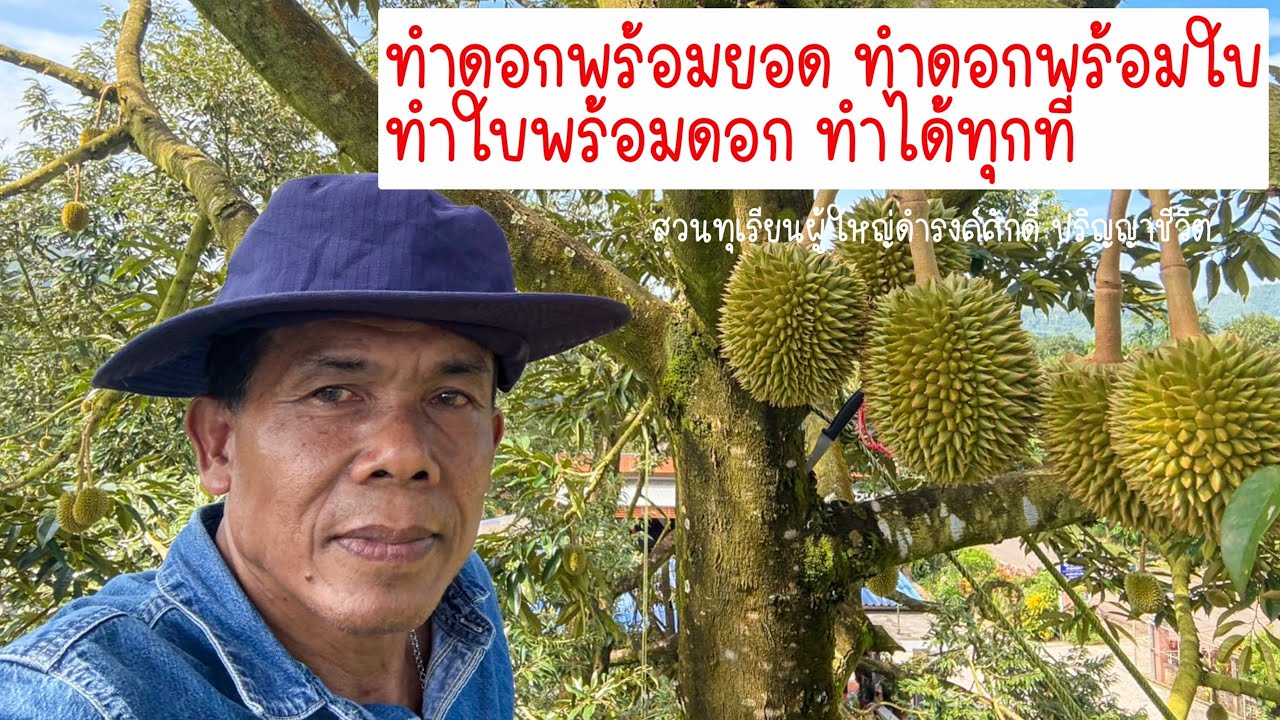 ทำดอกพร้อมยอด ทำดอกพร้อมใบ ทำใบพร้อมดอก ทำได้ ทุกที่ | EP.190