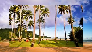 Top Hits Spotify Indonesia 2025  Album Reggae  Kumpulan Musik Cover Ska Reggae Terbaru 2025