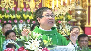 Ai Hạ Mình Xuống Thì Sẽ Được Nâng Lên | Bài Giảng Ý Nghĩa Của Cha Đaminh Đặng Văn Cầu