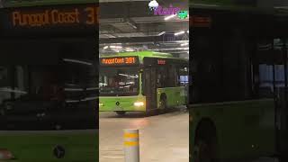 SBS6448D on Service 381 Departing from Punggol Coast Int