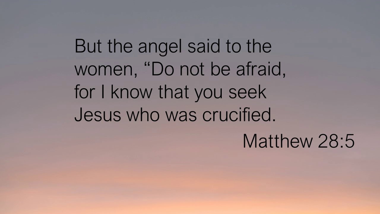Matthew 28:5-6 Scripture Reading - YouTube