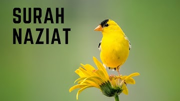 Surah An-Naziat (Be Heaven) سورة النازعات