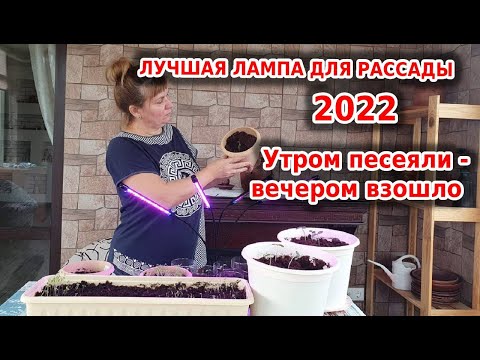 Лучшая фитолампа для