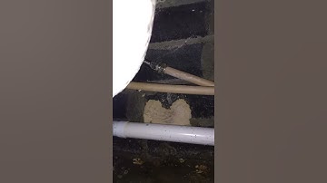 2nd video of leaking seals on bath in 37 Glebe Hall