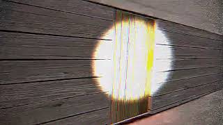 Footage Of The Shronkey Donkey