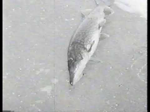 Ice Fishing on Lake Buel ca. 1920