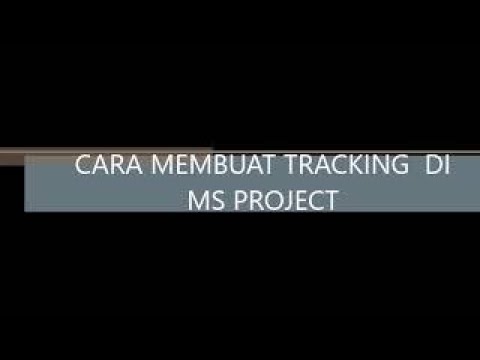 CARA TRACKING MS PROJECT