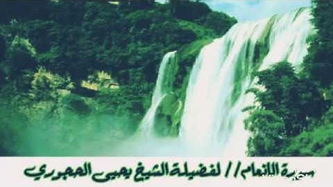 سورة الأنعام لفضيلة الشيخ العلامة يحيى الحجوري حفظه الله