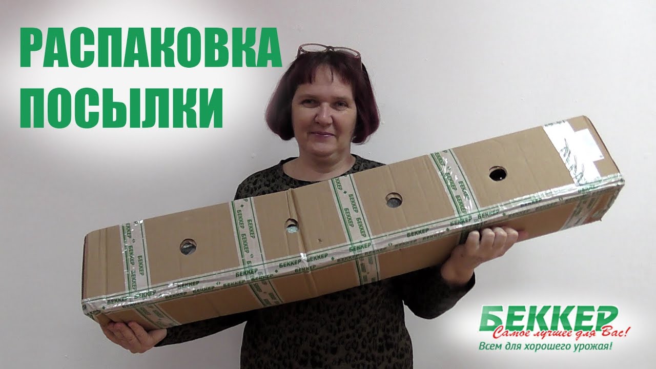 Беккер Интернет Магазин Отзывы Форум