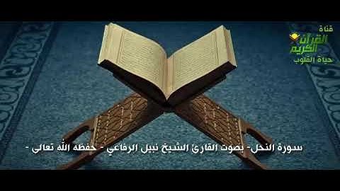 سورة النحل - بصوت القارئ الشيخ نبيل الرفاعي - حفظه الله -  اداء راقي جدا لا يفوتك