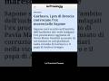 L’ex maresciallo Sapone convocato #garlasconews #shorts
