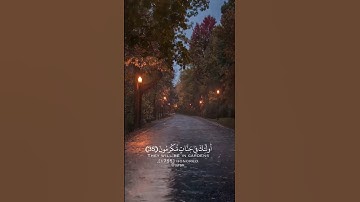 قران كريم|حالات واتساب|ماتيسر من "سورة المعارج"الايه(34-35)القارئ شريف مصطفى❤️