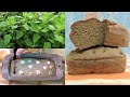 Лебеда 🌿 и 🌱 чеснок. Рецепт 📜 домашнего 🍞 хлеба на закваске. Bread.