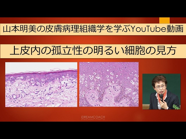 Akemi Yamamoto's video explaining skin pathology: How to identify