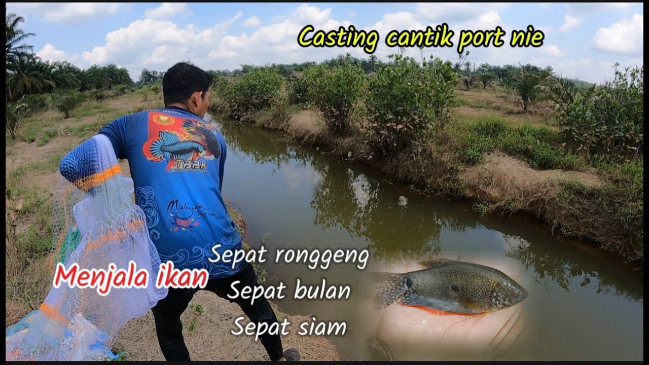 Test jala baru ‼️Dekat parit /longkang ladang sawit