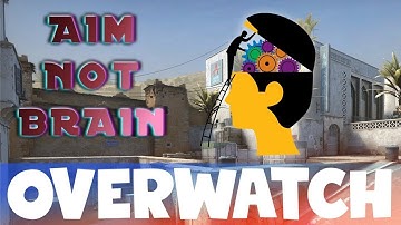 Insane Aim but Has no BRAIN! CS:GO OVERWATCH!