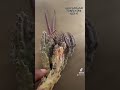 شطور الظبعه وفوائدها العلاجيه شطور الظبعه وفوائدها العلاجيه