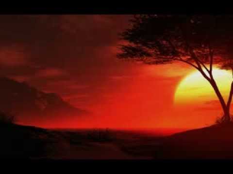 به دیدارم بیا هر شب