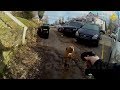 "I'll tase your ass, dog!"