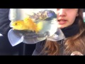 VLOG- покупка 🐟, новости 🦑
