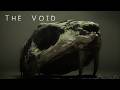 The Void [ID 4513750] Gameplay