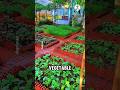 How One Family Turned Their Backyard into a Beautiful Vegetable Garden
