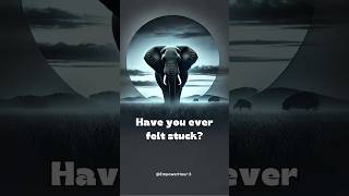 Break Free: The Elephant Rope Story That Will Change Your Life #shorts #motivation #inspiration #fyp