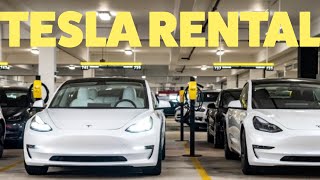 Renting a Tesla Model 3 (as a Model 3 owner)