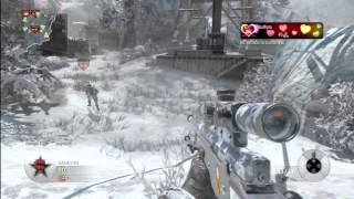 Black Ops Trickshot  | Array | Spawnshot Clip