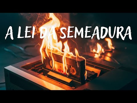 CAÇADA AOS VIDEOCASSETES- TUDO QUE VOCÊ PLANTA, COLHE- (19/07/25)