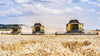 Harvest Brothers on South Moravia 😍|💛🖤 3x New Holland CX 8.80 💛🖤| Harvest 2023 🌾 | 🇨🇿 Zemos a.s.