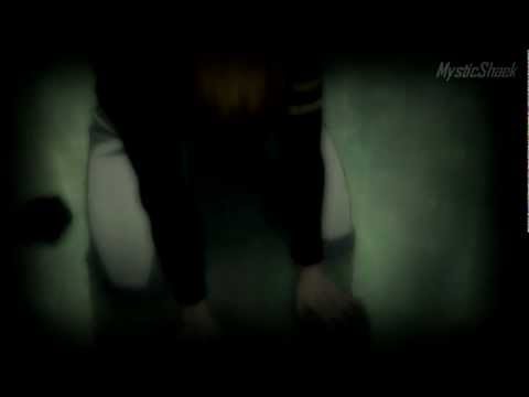 Ichigo Kurosaki ~ The Substitue Soulreaper (Ichigo...