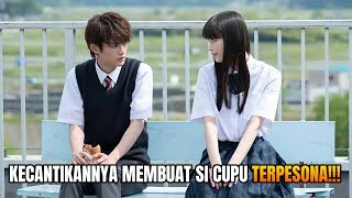 KETIKA PRIA CULUN DISUKAI GADIS PENDENDAM‼️ALUR CERITA KYOUSO NO MUSUME