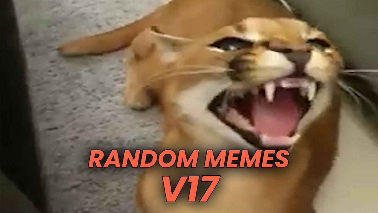RANDOM MEMES COMPILATION V17 - 2022 Best Funny Memes Videos