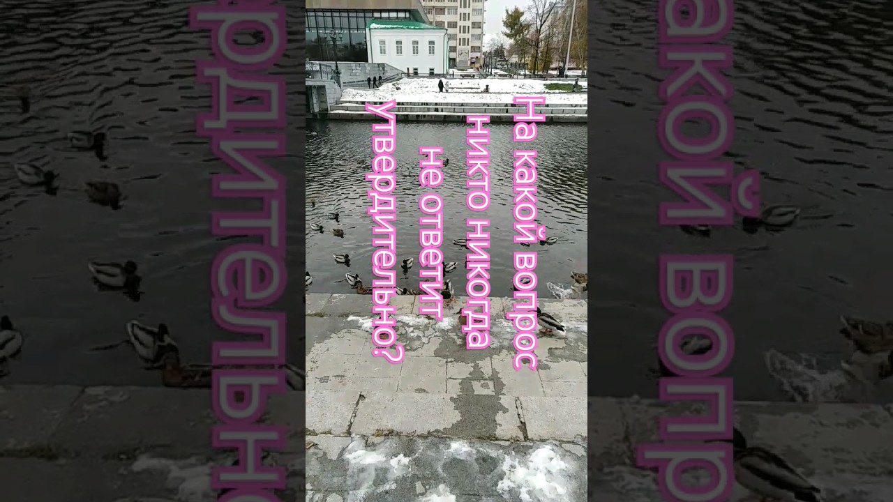 #ЛогическиеЗадачи