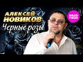Алексей Новиков Чёрные розы Official Video 2025 MELOMAN HIT