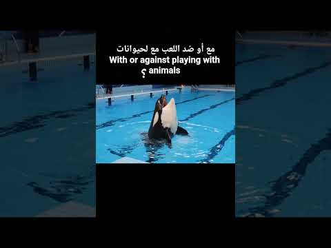 وكأنه ندم علا موتها جيسيكا 