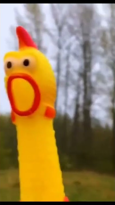 Mentahan Background Meme Ayam terbaru Tiktok #fyp #tiktok #mentahan #munculberanda