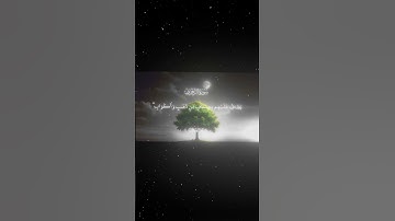 سورة الزخرف|70-71|القارئ:#محمد_اللحيدان #قران #quran #راحة_نفسية #قران_كريم #تلاوة_هادئة#تلاوة_خاشعة