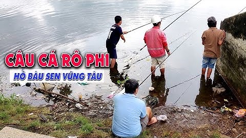 Câu Cá Hồ Bàu Sen Vũng Tàu | Thiên Đường Câu Cá Rô Phi