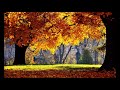 Ernesto Cortazar  -  Remembrance ( Autumn Song )