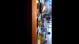 Sushi At The Nagahama Fish Market In Fukuoka