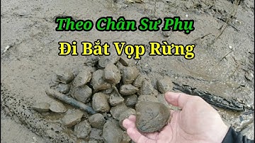 Theo Chân Sư Phụ Bắt Vọp Rừng Ở Sông Thị Vải Đồng Nai l Nghiệp Vũng Tàu Vlog #81