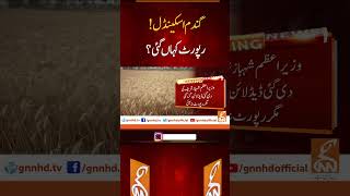 گندم اسکینڈل،رپورٹ کہاں گئی ؟ #Breakingnews #Gnn #Breaking #News #Latest