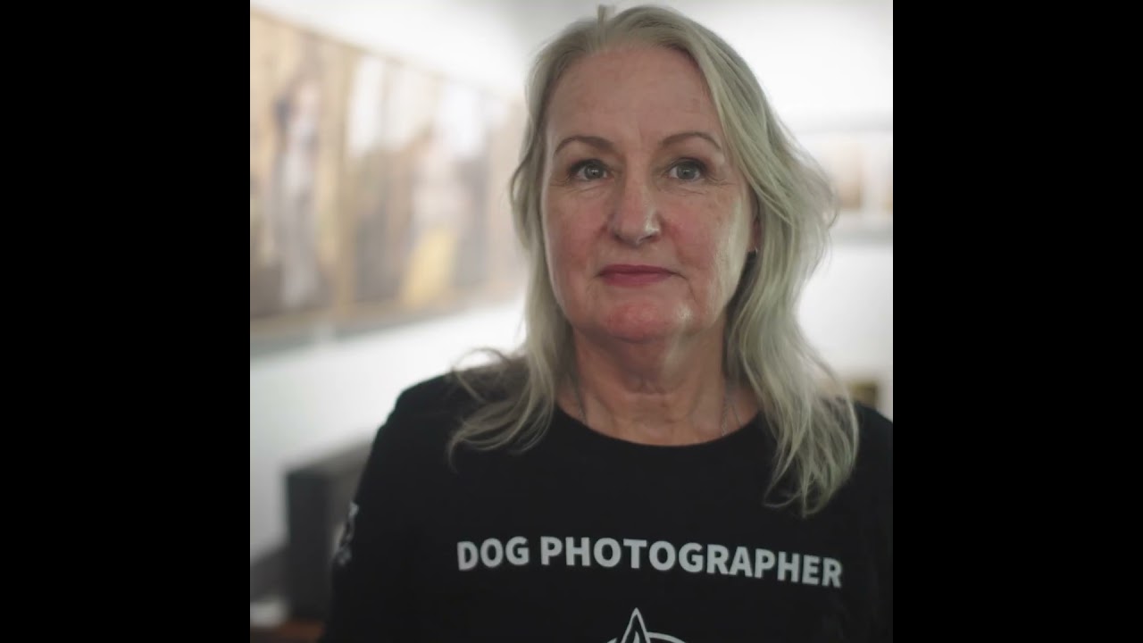 Jo Lyons   Dogs are my world