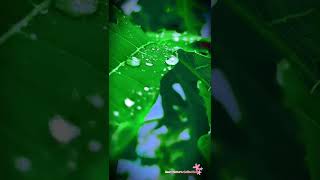 Instagram Viral Photography Nature Photography Tips For Mobile Nature Photography Ideas