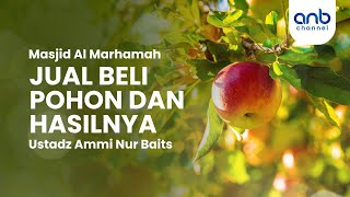 Jual Beli Pohon Dan Hasilnya | Ustadz Ammi Nur Baits, ST., BA.