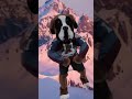 Colorado Avalanche edit #hockey #nhlhockeyislife #edit #wgitachi #sports #shorts #coloradoavalanche