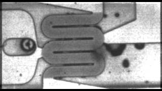 flow boiling in microchannel -- larger bubbles 2