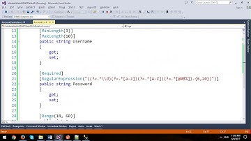 Model Validation in ASP.NET Web API